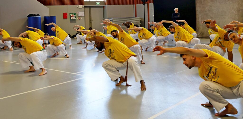 Stage Festival adulte Groupe Capoeira Alecrim France